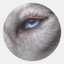 Husky Stickers Siberian Husky Malamute Stickers