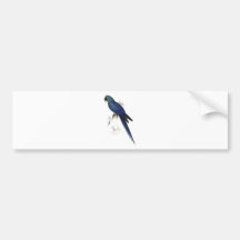 Hyacinthine Maccaw by Edward Lear Bumper Sticker