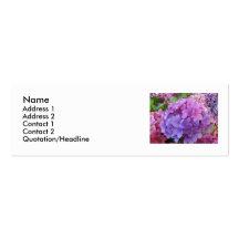 Hydrangea Business Card Templates
