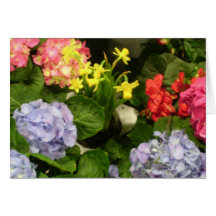 "Hydrangea Hues" Card