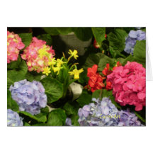 "Hydrangea Hues" Card