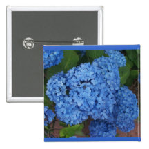 Hydrangea Pinback Button