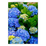Hydrangeas Friendship Card
