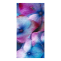 Hydrangeas in the wind photo greeting card