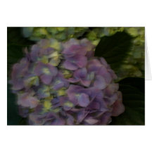 Hydrania Card