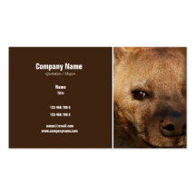 Hyena business profile - customisable business card