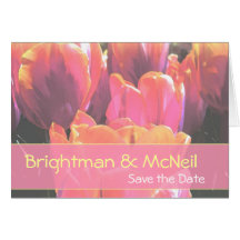hypercolortulips save the date cards