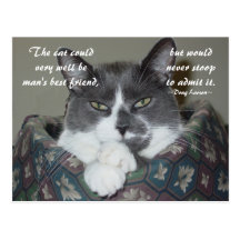 I Am Cat... Post Cards