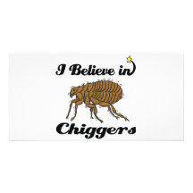 i believe in chiggers photo card