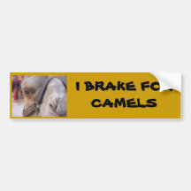 I BRAKE FOR CAMELS BUMPER STICKERS