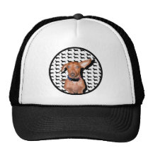 I Can Hear You Mesh Hat