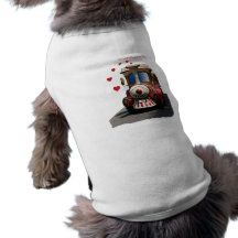 I Choo-Choose You Dog Clothes