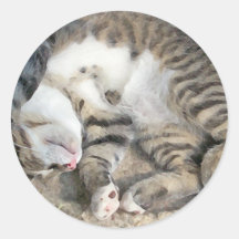 I don't do mornings kitten design sticker