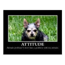 I don't have an attitude problem post cards