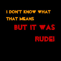 I don't know what that means, but it was rude t-shirts