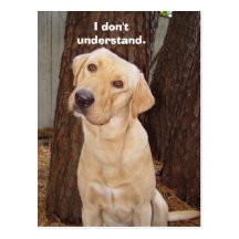 I don't understand. post cards