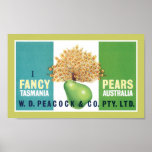 I Fancy Pears Print