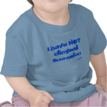 I have not climbed Snowdon T Shirt