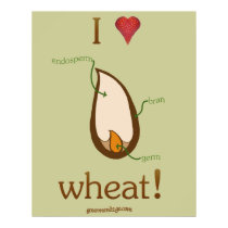 I Heart Wheat! posters