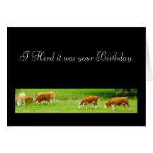 I Herd it was your Birthday Greeting Card