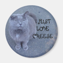 I JUST LOVE CHEESE MAGNET