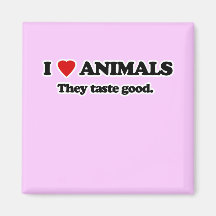 I Love animals Magnet