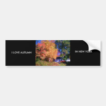 I LOVE AUTUMN IN NEW YORK BUMPER STICKERS