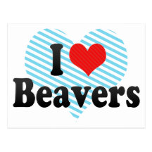 I Love Beavers Post Card