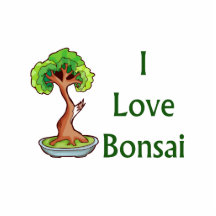 I love bonsai in green text shari tree graphi photo sculpture