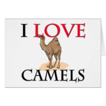 I Love Camels Greeting Cards