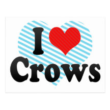 I Love Crows Postcards