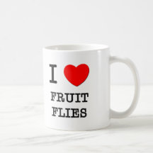 I Love Fruit Flies Coffee Mugs