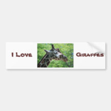 I Love Giraffes Bumper Stickers