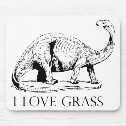 I Love Grass Dinosaurus Mouse Mats