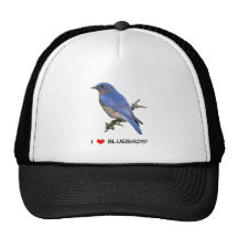 I Love (heart) Bluebirds Hats