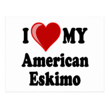 I Love (Heart) My American Eskimo Dog Post Cards