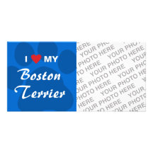 I Love (Heart) My Boston Terrier Pawprint Photo Card Template