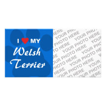 I Love (Heart) My Welsh Terrier Custom Photo Card