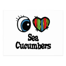 I Love (Heart) Sea Cucumbers Post Cards