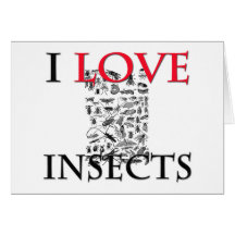 I Love Insects Greeting Cards