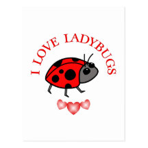 I Love Ladybugs Post Card