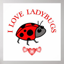 I Love Ladybugs Poster