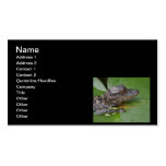 I Love Lilly Business Card Templates