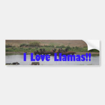 I Love Llamas Bumper Sticker