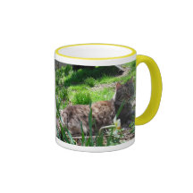 I LOVE Maine  Coons Coffee Mugs