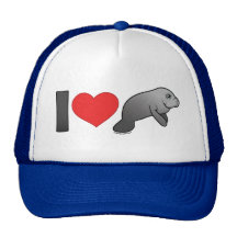 I Love Manatees Hat