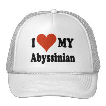 I Love My Abyssinian Cat Gifts and Apparel Mesh Hat