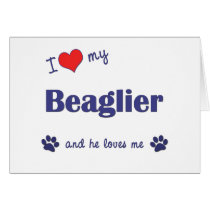I Love My Beaglier (Male Dog) cards