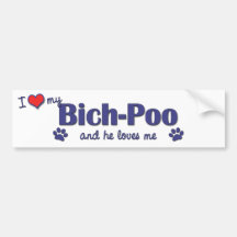 I Love My Bich-Poo (Male Dog) Bumper Sticker