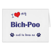 I Love My Bich-Poo (Male Dog) cards
